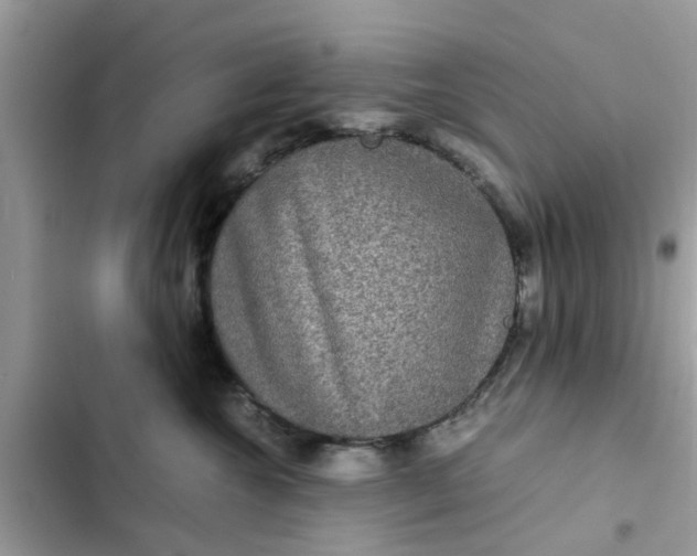 X0000102340572200808151730