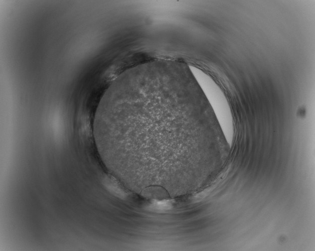 X0000102340573200808151730