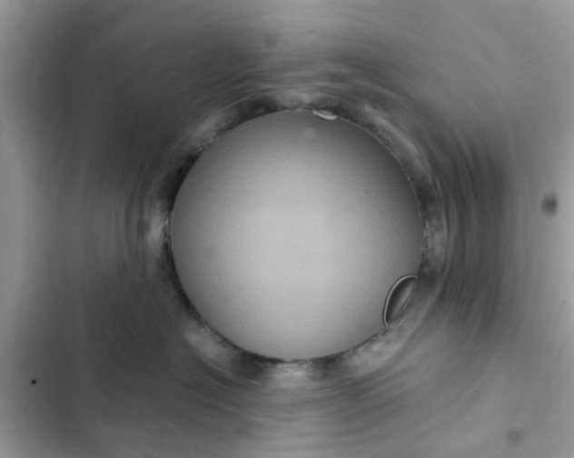 X0000102340574200808151730