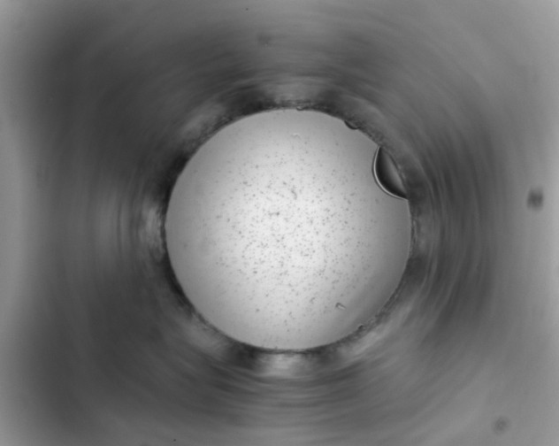 X0000102340575200808151730