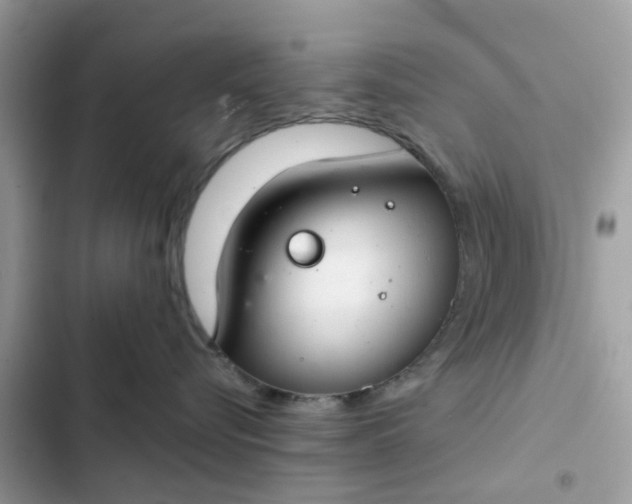 X0000102340576200808151730