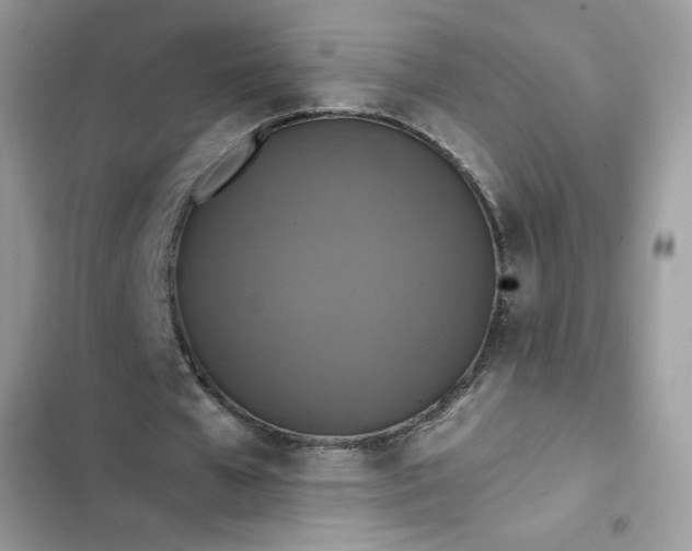 X0000102340577200808151730