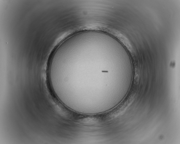 X0000102340578200808151730