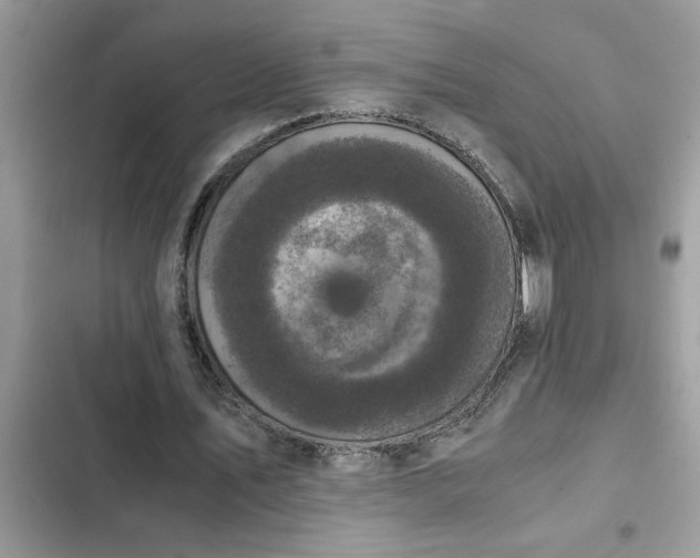 X0000102340579200808151730