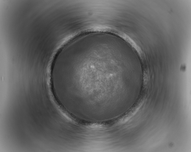 X0000102340581200808151730