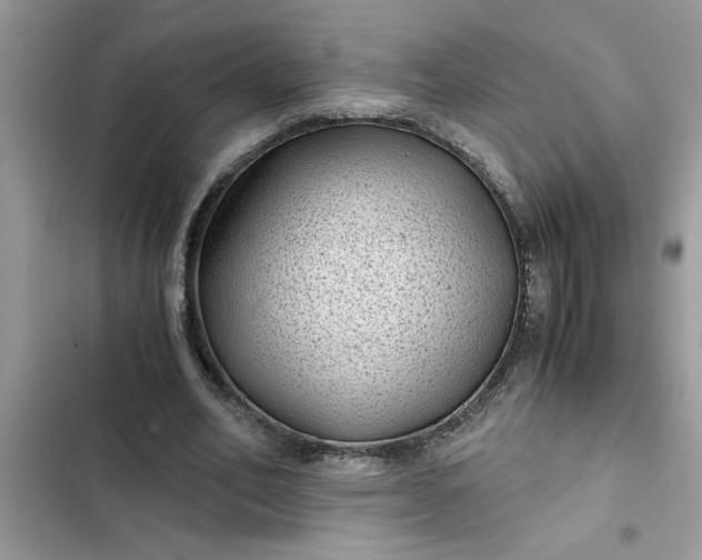 X0000102340582200808151730