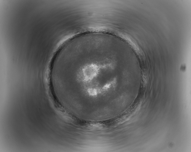 X0000102340583200808151730