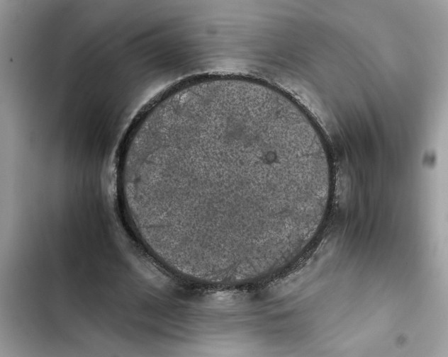 X0000102340584200808151730