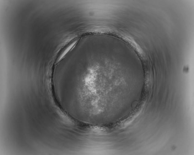 X0000102340585200808151730