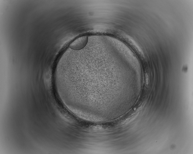 X0000102340588200808151729