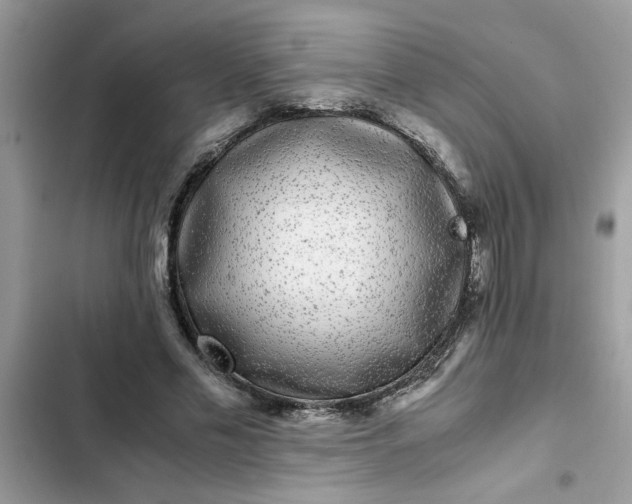 X0000102340589200808151729