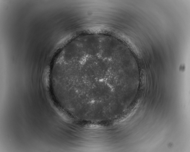 X0000102340590200808151729