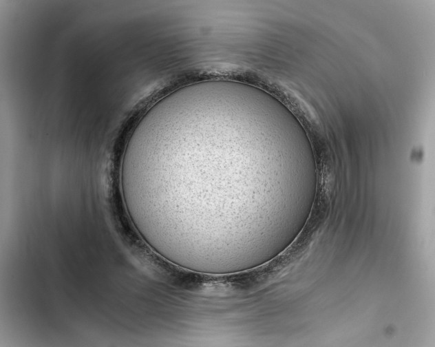 X0000102340591200808151729