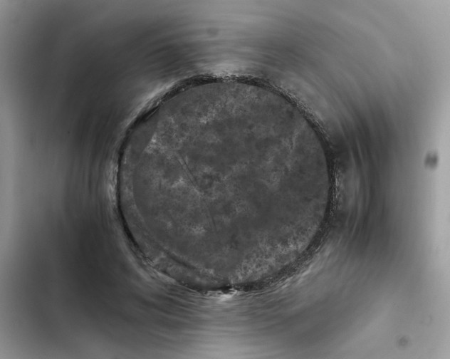 X0000102340592200808151729