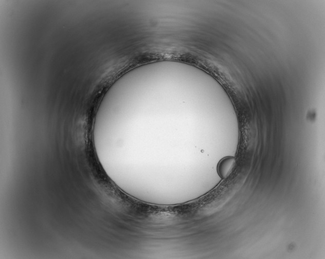 X0000102340594200808151729