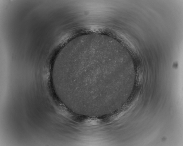 X0000102340595200808151729