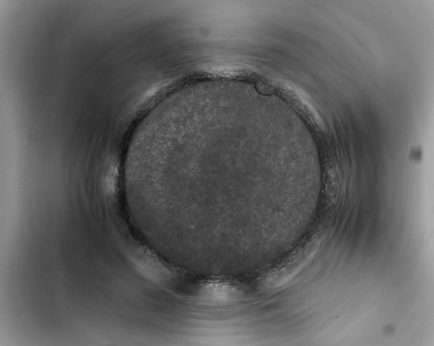 X0000102340596200808151729