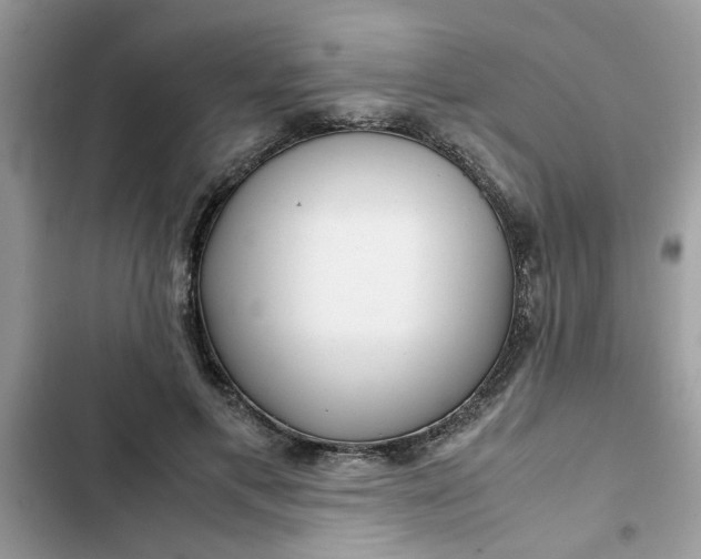 X0000102340597200808151729