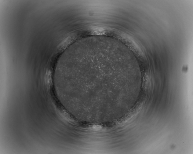 X0000102340598200808151729