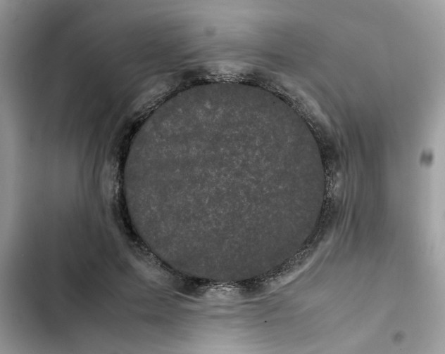 X0000102340599200808151729