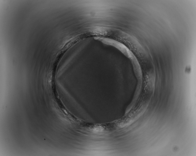 X0000102340600200808151729