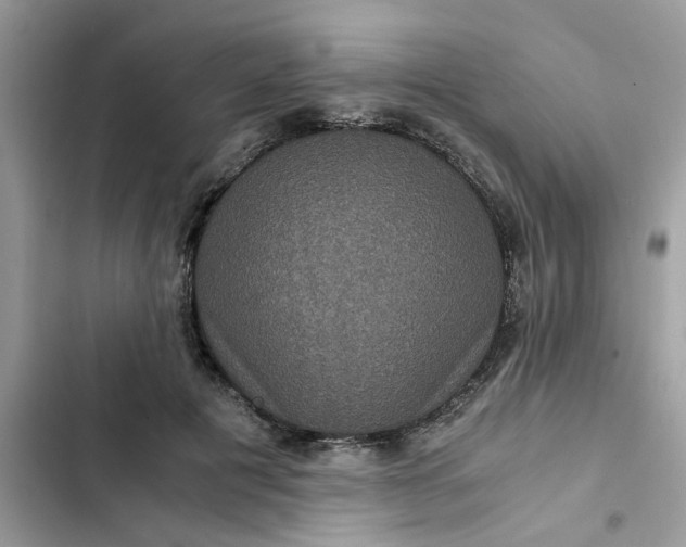 X0000102340601200808151729