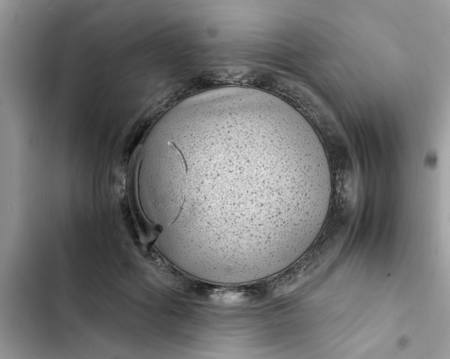 X0000102340602200808151729