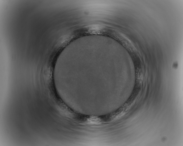 X0000102340603200808151729