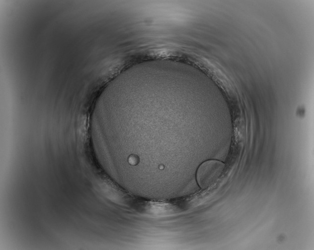 X0000102340605200808151729