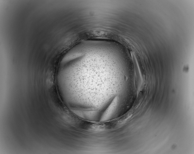 X0000102340606200808151729