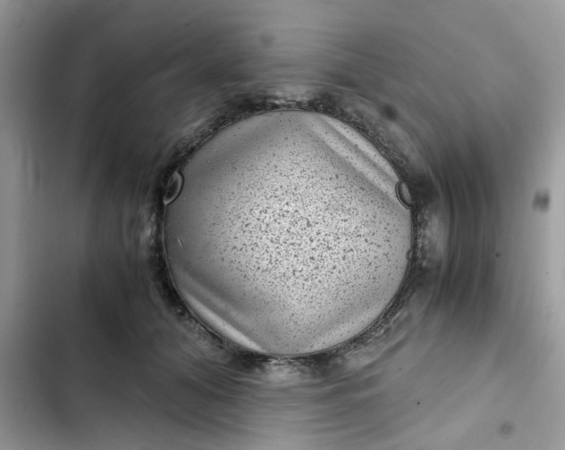 X0000102340608200808151729