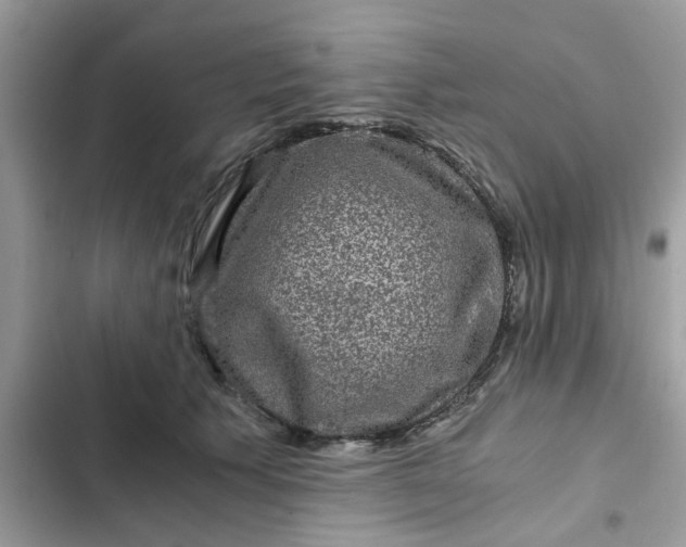 X0000102340609200808151729