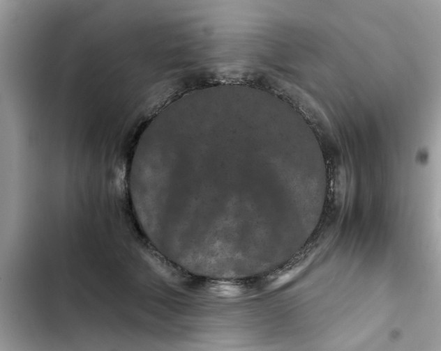 X0000102340610200808151729