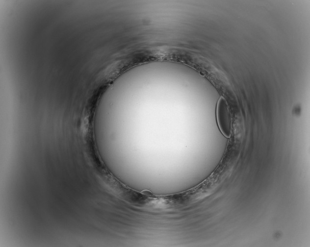 X0000102340611200808151729