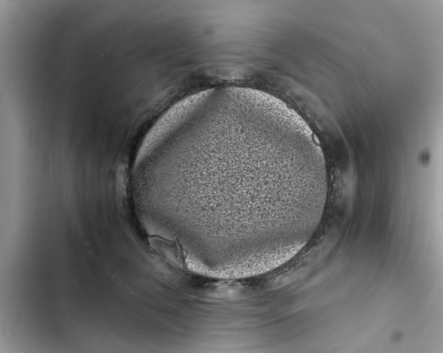 X0000102340612200808151729