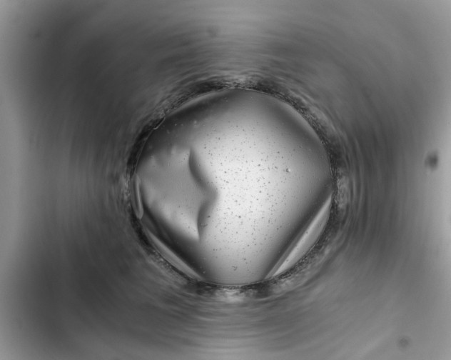 X0000102340613200808151729