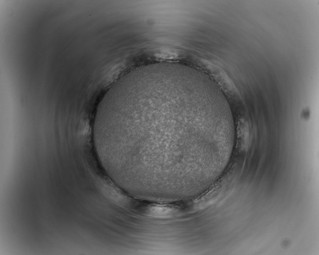 X0000102340614200808151729