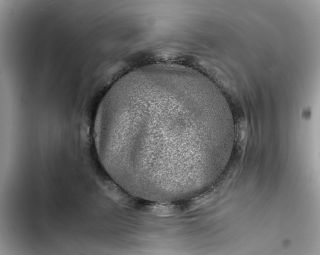 X0000102340615200808151729