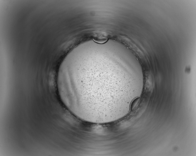 X0000102340616200808151729