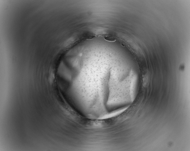 X0000102340618200808151729