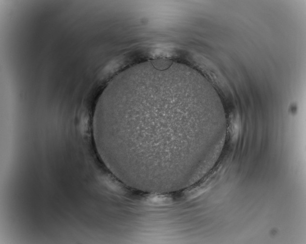 X0000102340619200808151729