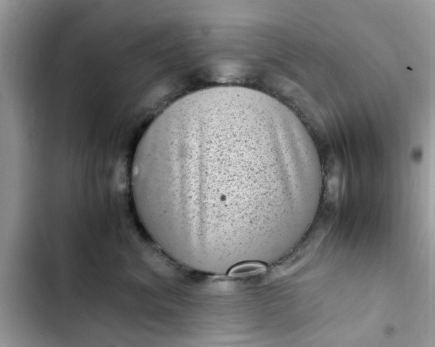 X0000102340620200808151729