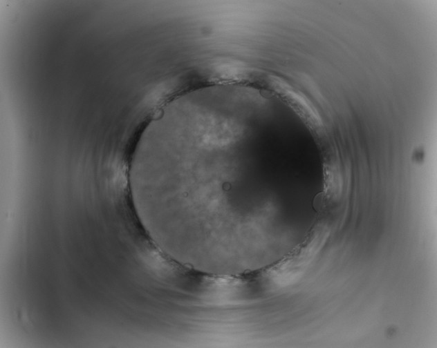 X0000102340621200808151729