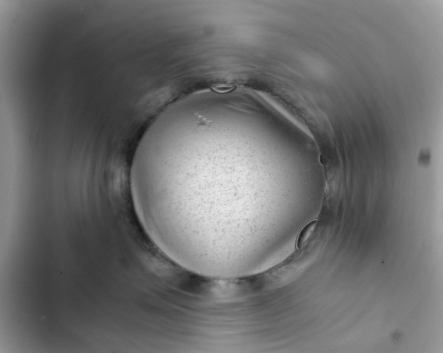 X0000102340623200808151729