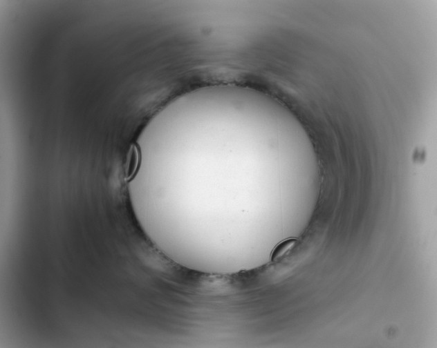 X0000102340624200808151729