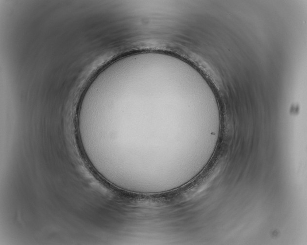 X0000102340625200808151728