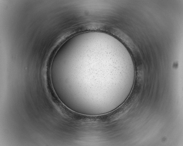 X0000102340626200808151728