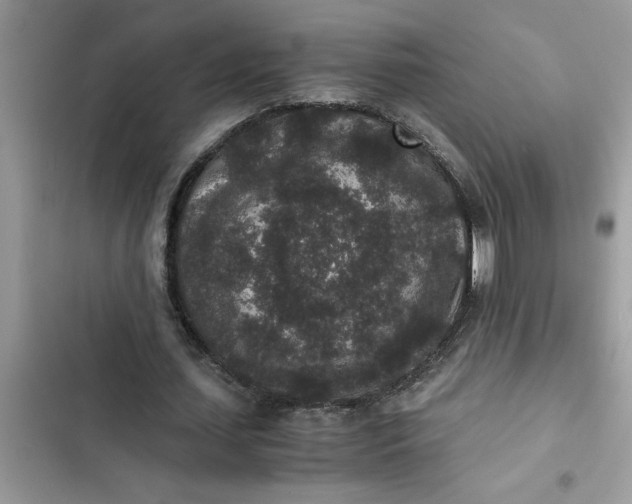 X0000102340627200808151728