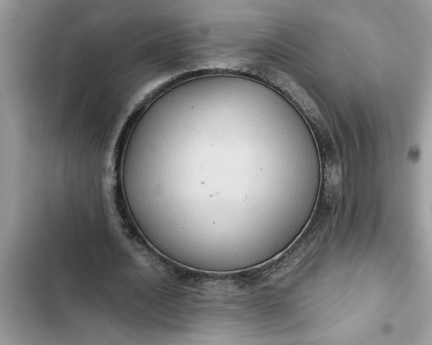 X0000102340628200808151728