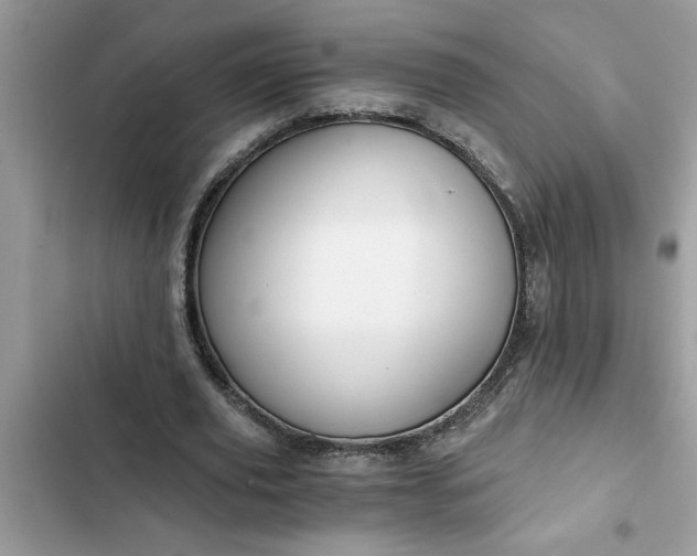 X0000102340629200808151728